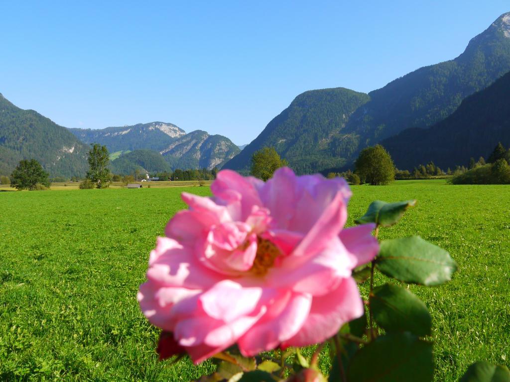 Hotel Haus Hohenwarter Lofer Zimmer foto